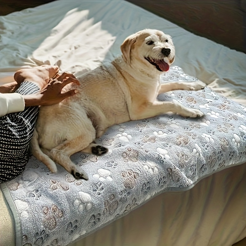 Уютное полотенце для питомцев, – обзор и цена Pet Supplies For Dogs