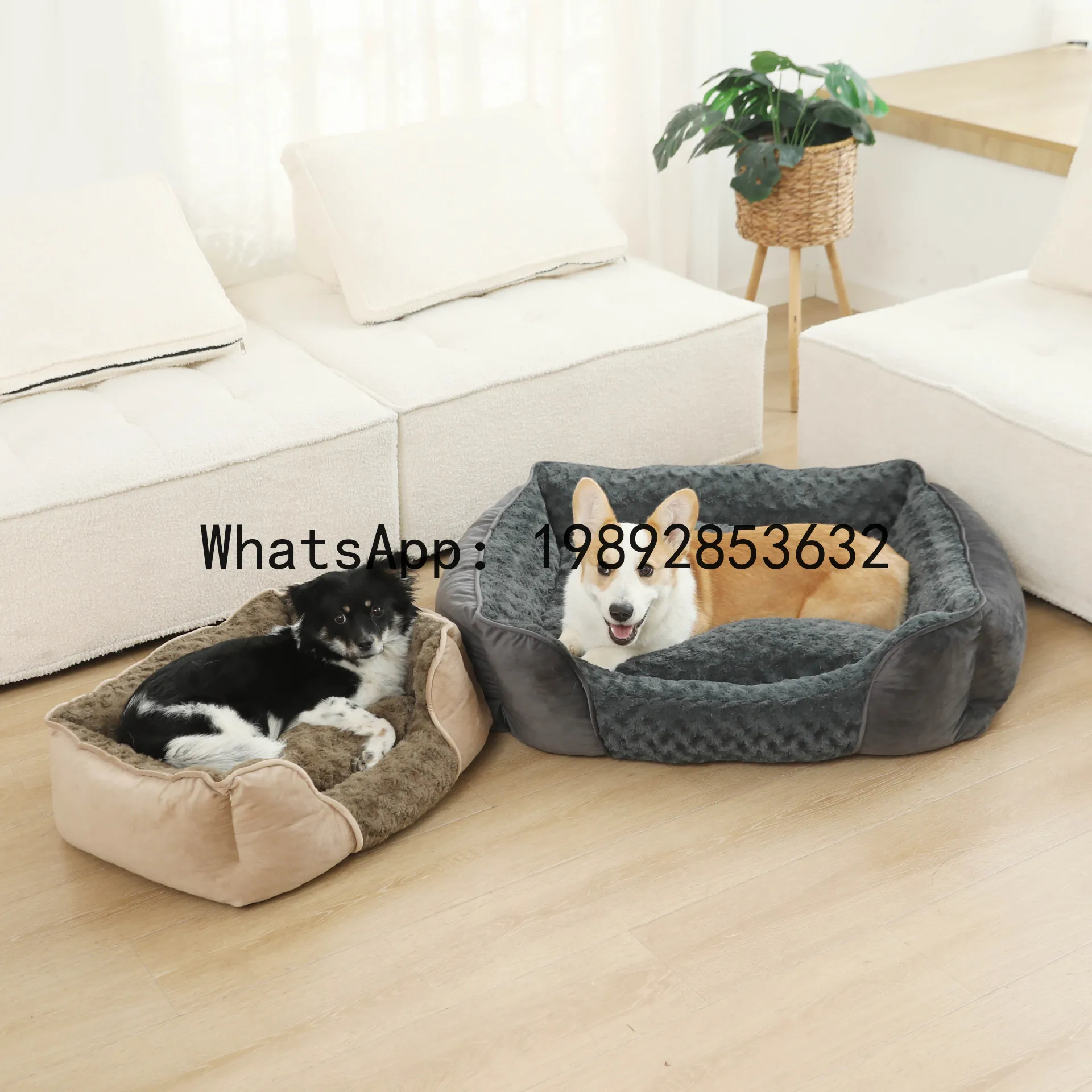 Домик для кошек X, полузакрыта – обзор и цена Pet X Supplies & Tack Photos