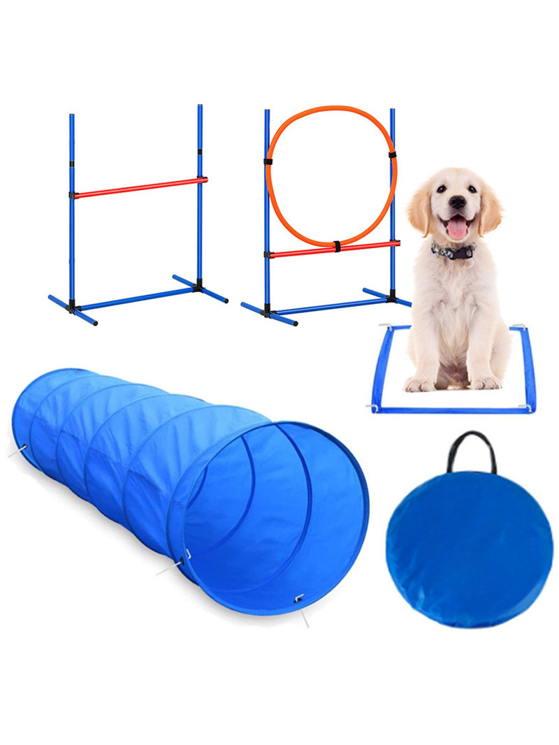 Принадлежности для тренировки  – обзор и цена Pet Supplies For Dogs