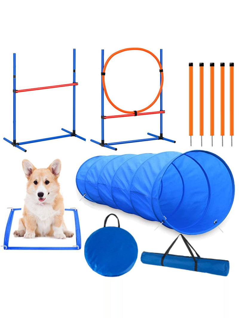 Принадлежности для тренировки  – обзор и цена Pet Supplies For Dogs