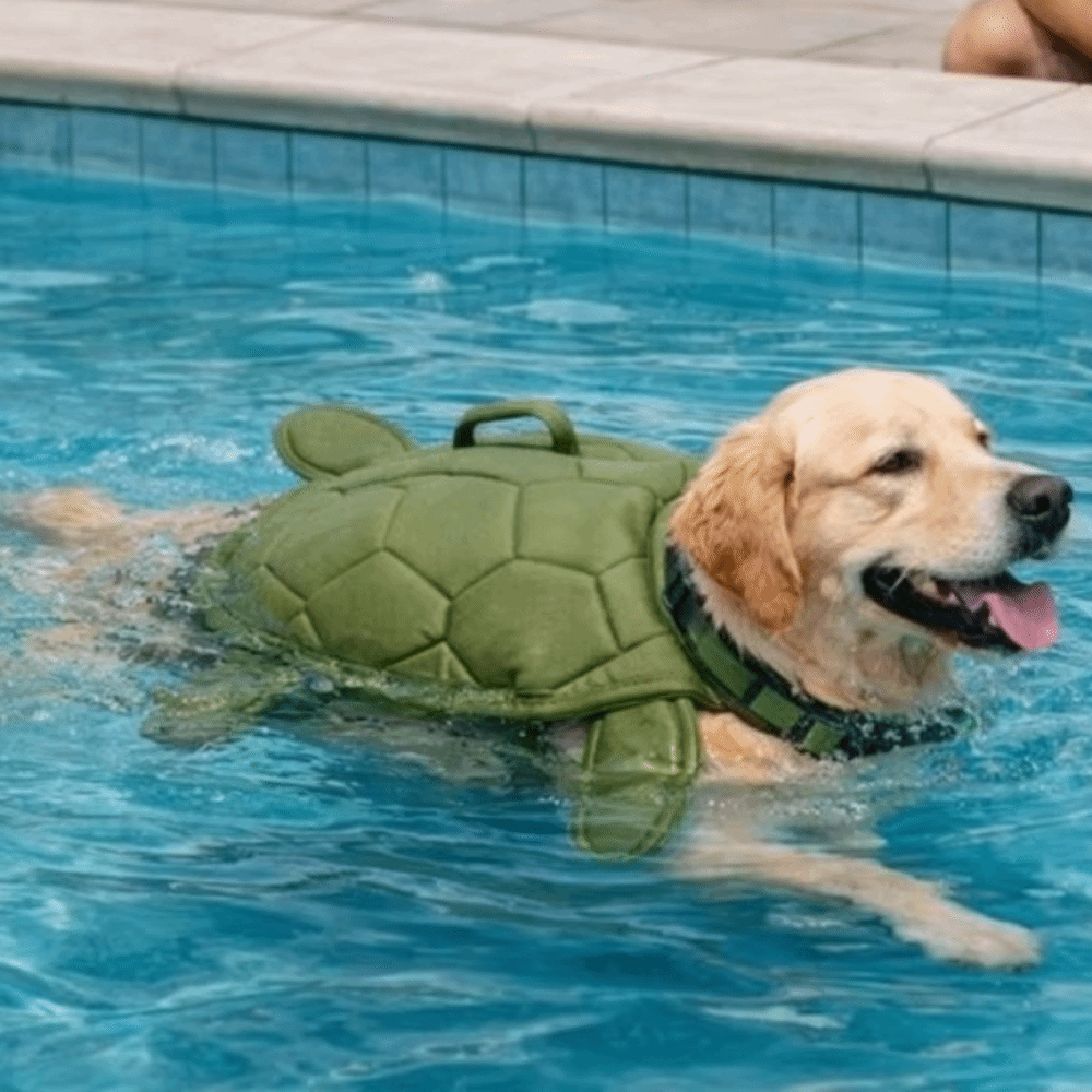 Милый спасательный жилет для с – обзор и цена Dog Life Jacket