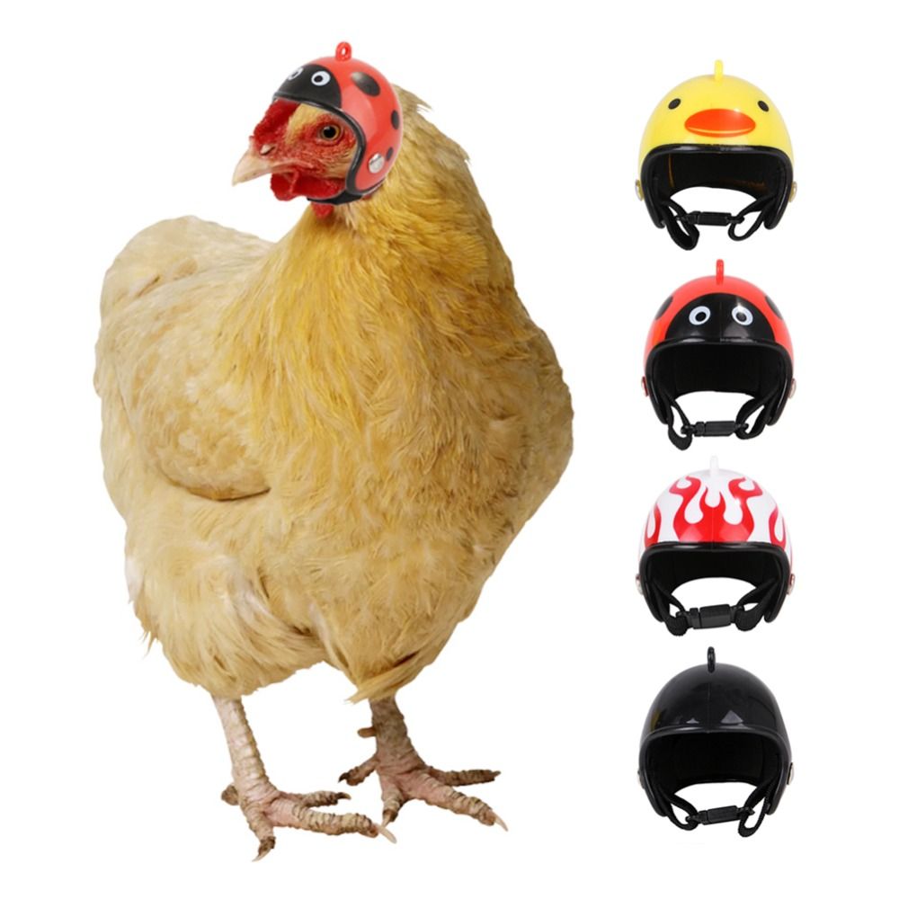 Забавная защитная шапка для до – обзор и цена Pet X Supplies & Tack Photos