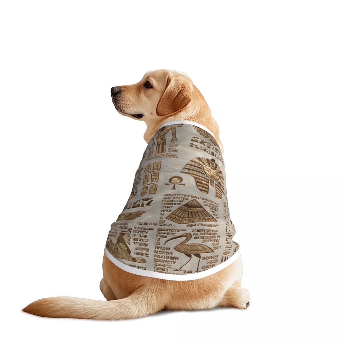 Египетские иероглифы и божеств – обзор и цена Pet Supplies Egypt