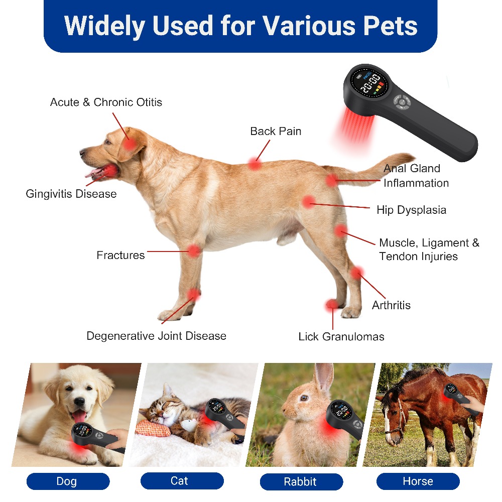 Профессиональный аппарат для х – обзор и цена Pet Supplies Outlet