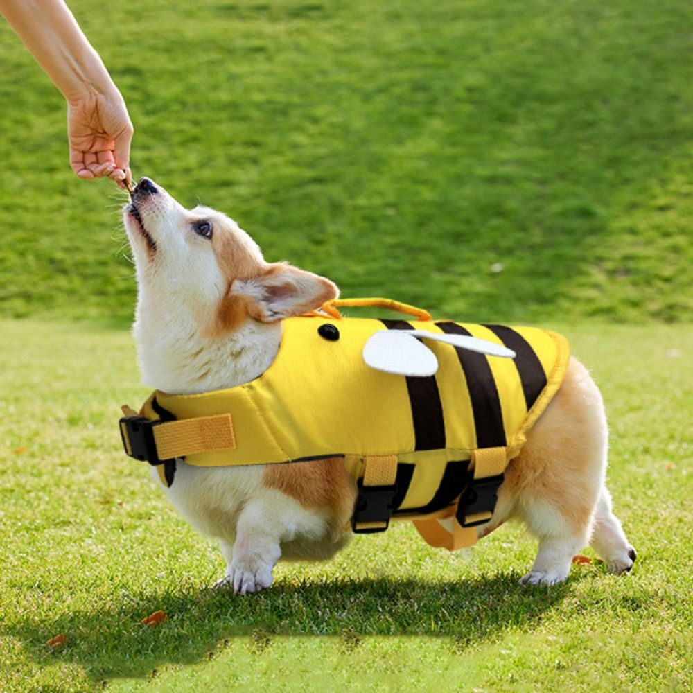 Спасательный жилет для собак L – обзор и цена Dog Life Jacket