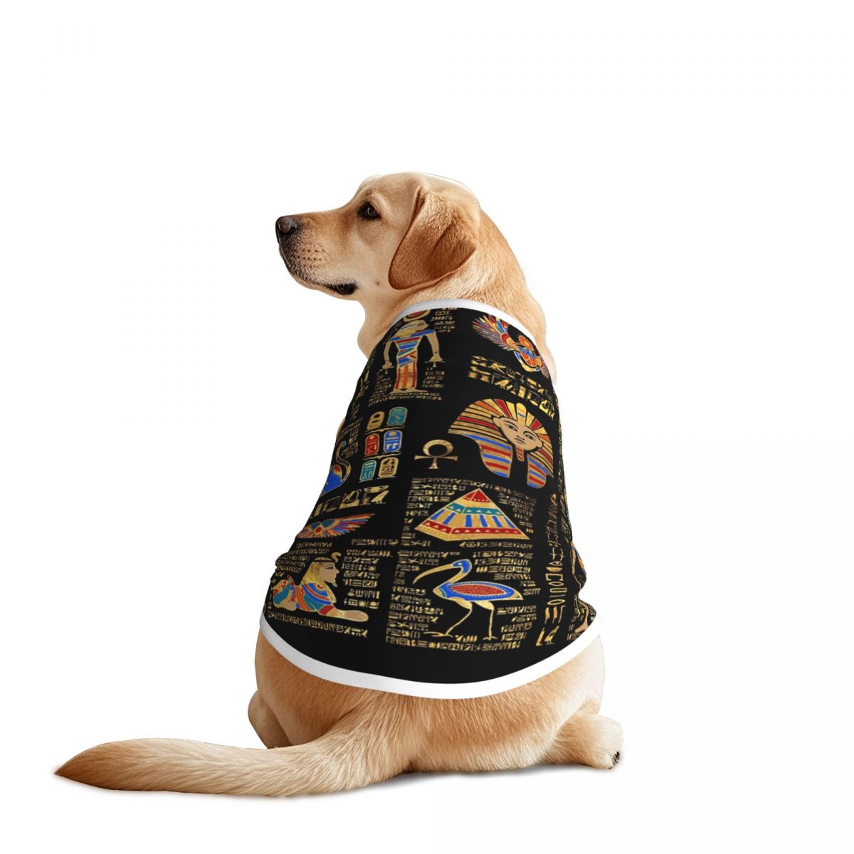 Египетские иероглифы и божеств – обзор и цена Pet Supplies Egypt
